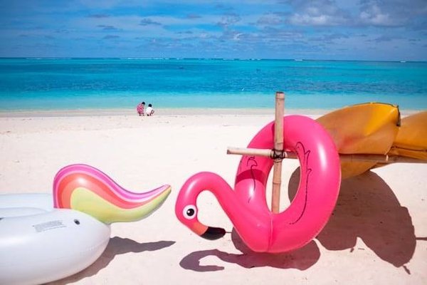 Top 5 des campings incontournables à Carnac
