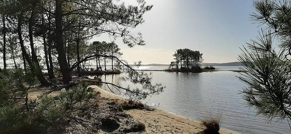 Camping économique à Lacanau: vos vacances idéales